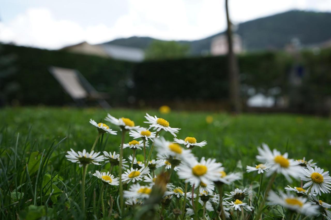 Apartamento Con Jardin En La Cerdanya Err Exteriér fotografie