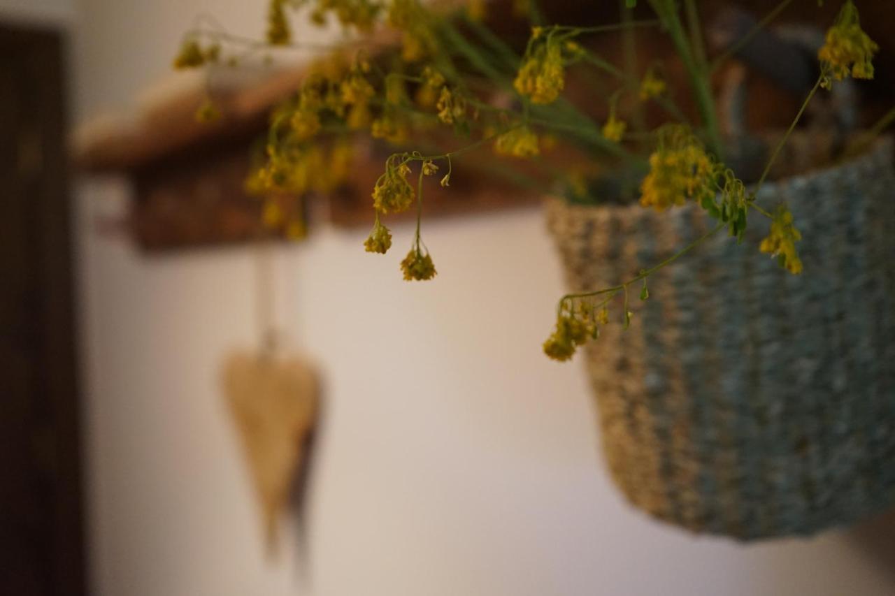 Apartamento Con Jardin En La Cerdanya Err Exteriér fotografie